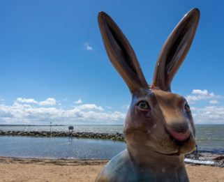 Hares About Town Summer 2021