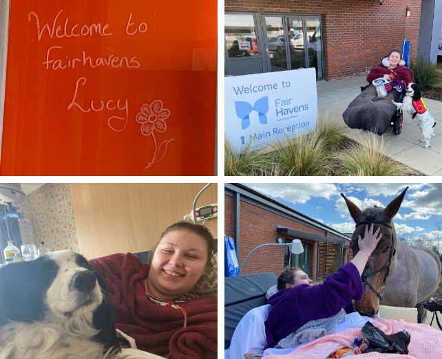 Collage of photos of Lucy outside the hospice
