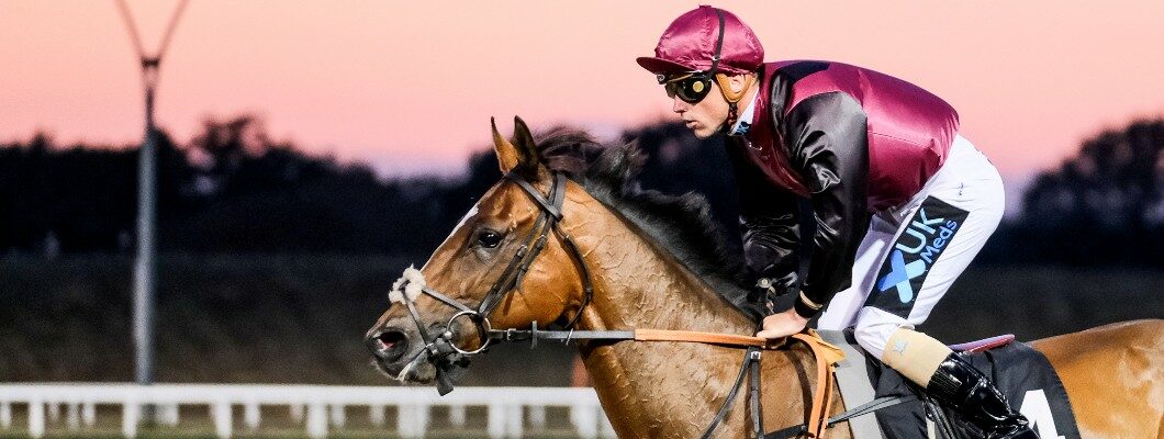 Horse and rider racing on a race course