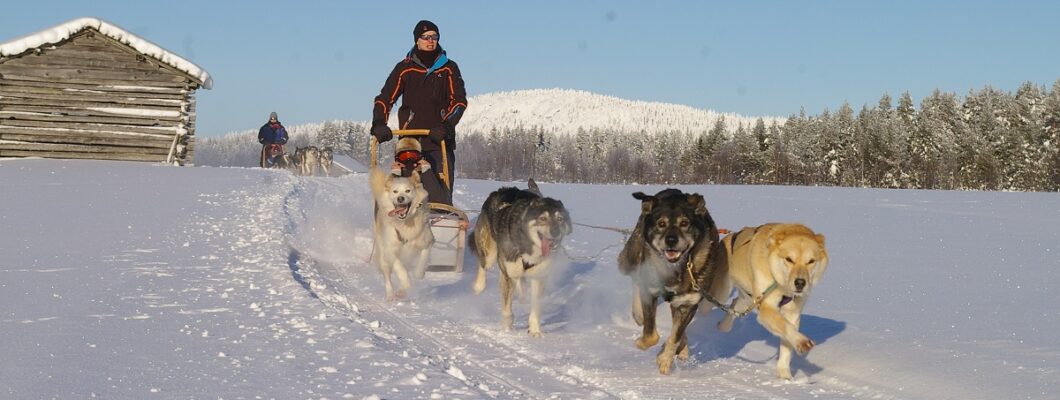 Artic Adventure in Finland