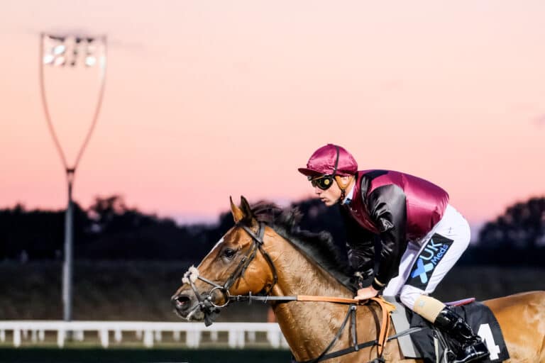 Jockey riding a horse at Chelmsford City Racecourse
