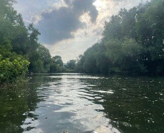 canal with trees either side