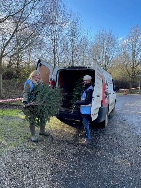 R.C Boreham Volunteering For The Tree Collection In 2022