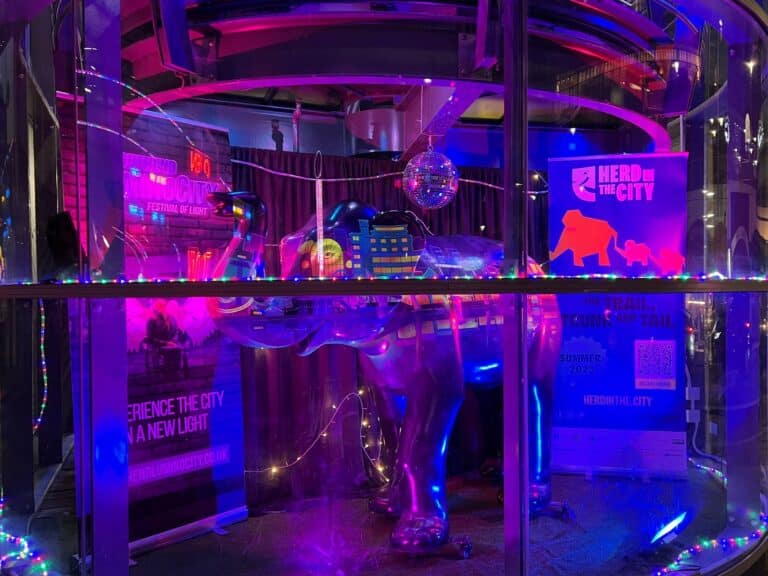Rock ‘n’ Glow elephant in Southend Pier's shop window lit up