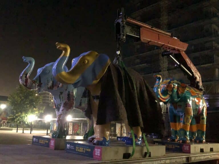 Elephants in a harness being picked up by a crane