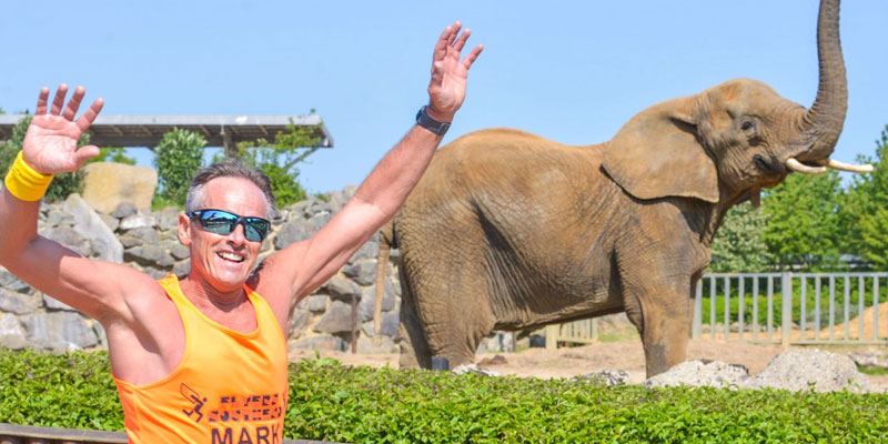 Elephant and runner