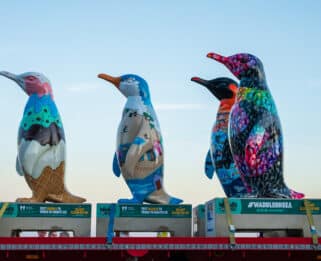 Four Colourful Penguin Statues perched on a back of a lorry truck with the skyline in the background