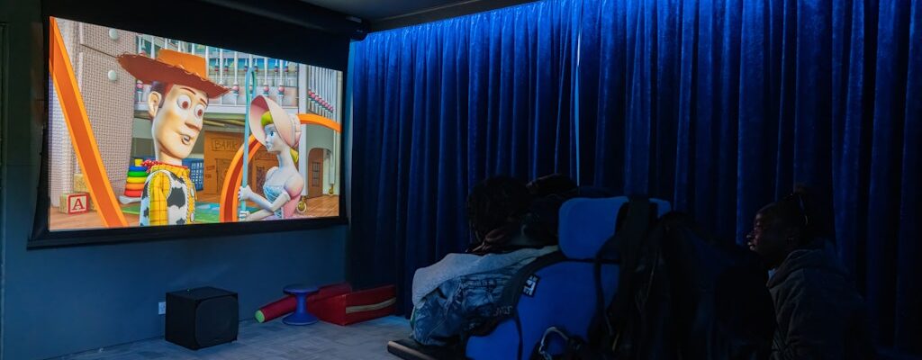 New cinema at Little Havens