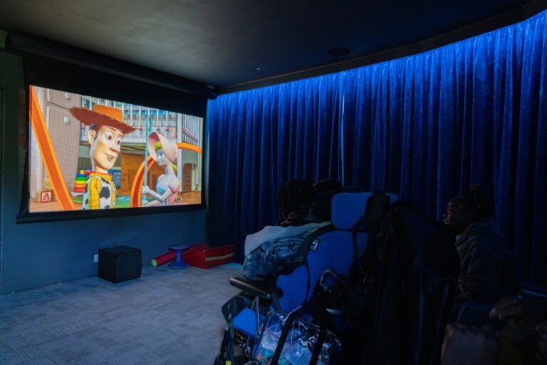 New cinema at Little Havens