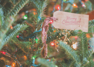 Christmas tag on the tree