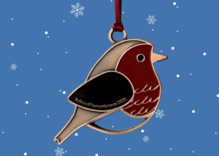 Robin decoration