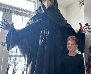 Dexter with a Halloween decoration.