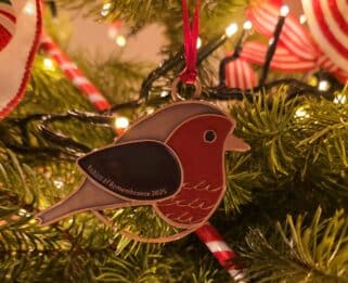 Robins of Remembrance decoration