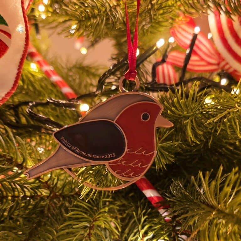 Robins of Remembrance decoration
