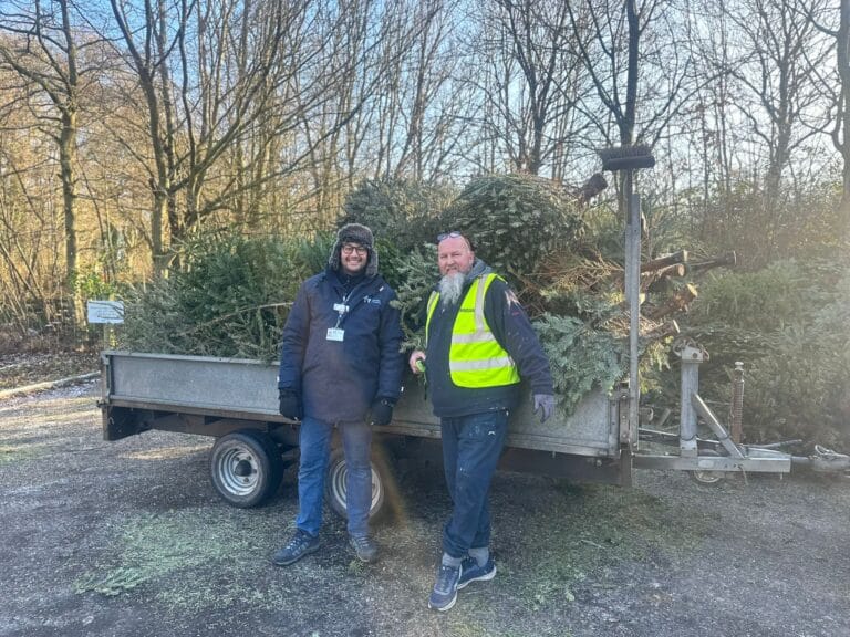 Two men stood in front of a transit van with Christmas trees in the back.
