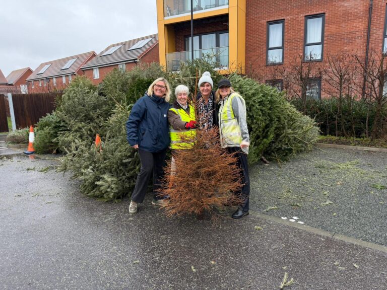 Four ladies standing around Christmas tree