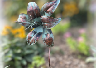 rustic green and bronze metal lily flower in the garden with a blurred outside background