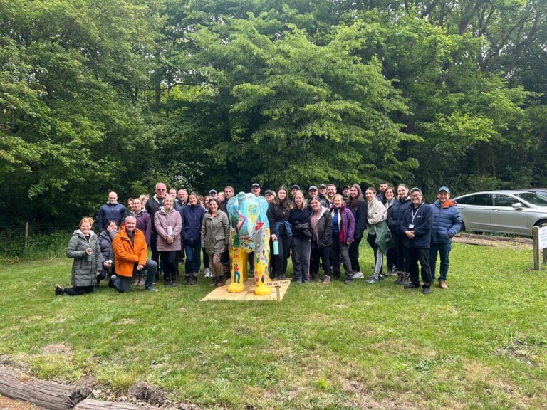 A big group of volunteers outside Little Havens.