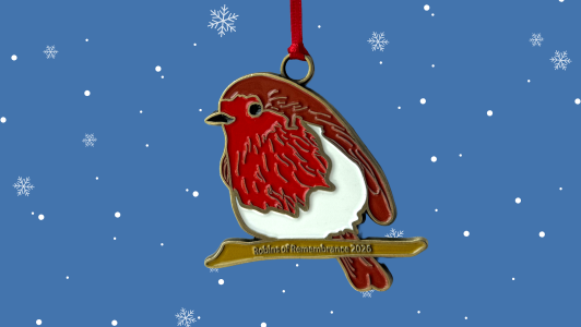 Robin decoration hanging on red ribbon on blue star background