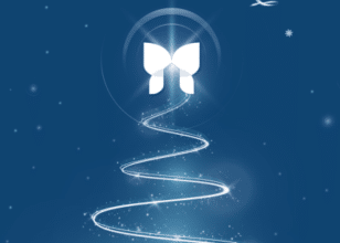 Havens Hospices 'Light up a Life' logo