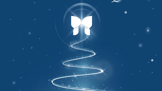Havens Hospices 'Light up a Life' logo