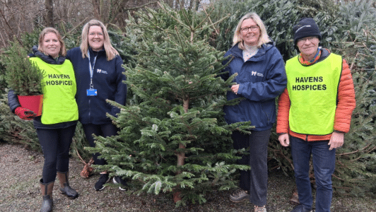 Christmas tree collection